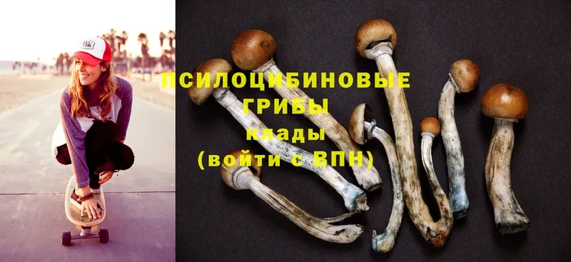 Псилоцибиновые грибы Magic Shrooms  где купить наркотик  гидра ссылки  Арамиль 